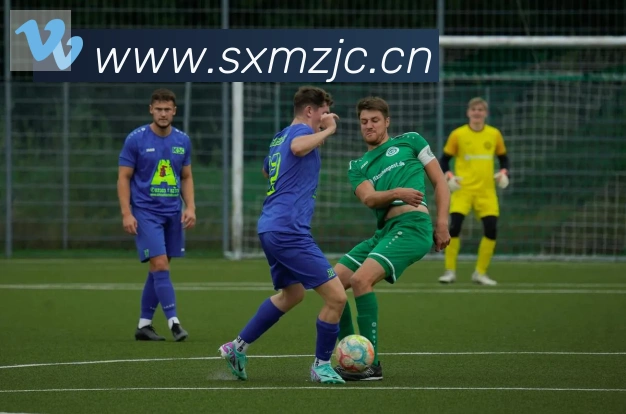 爱游戏ayx登录入口荣誉